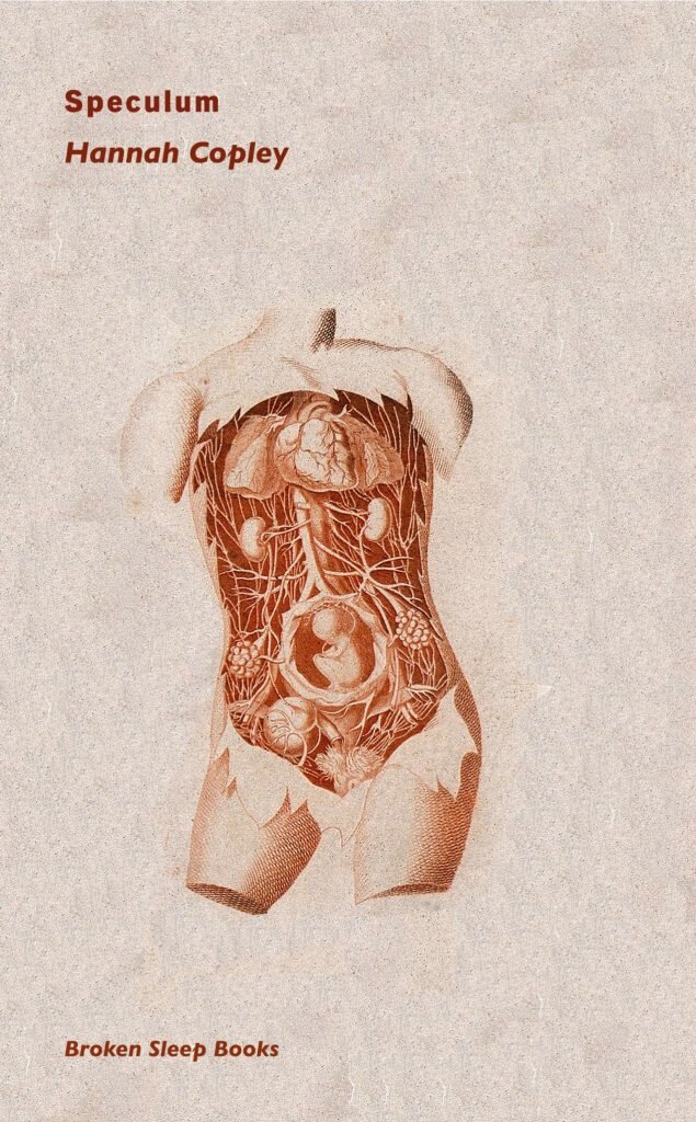 Speculum_Hannah Copley